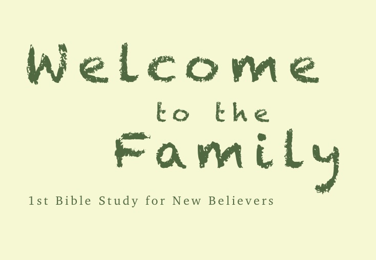 Cover of Welcome to the Family