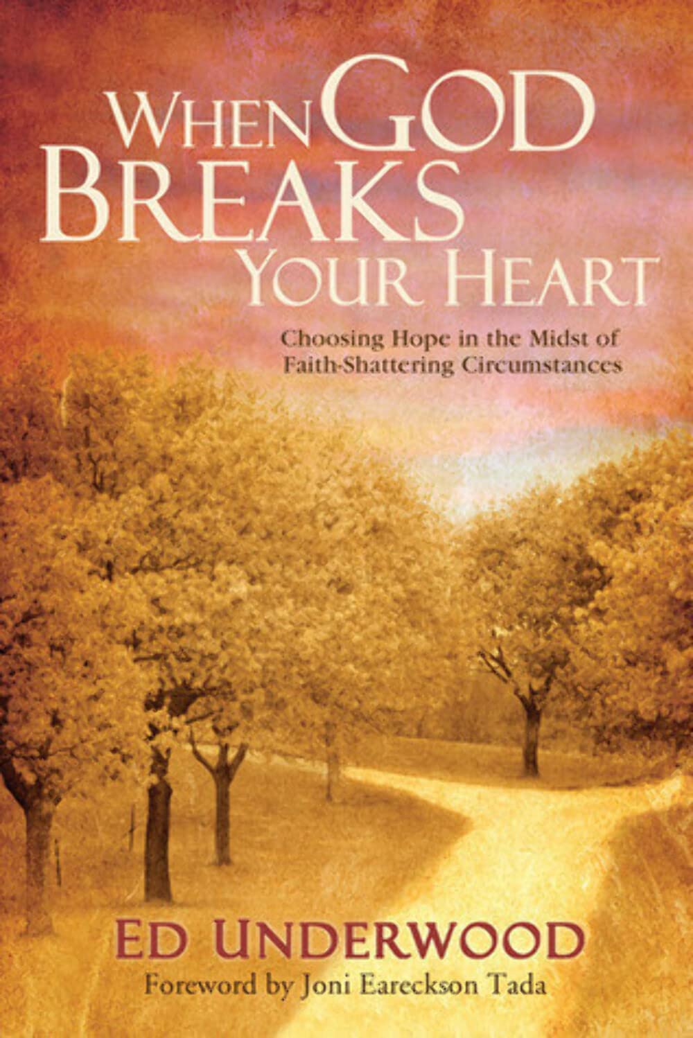 Cover of When God Breaks Your Heart